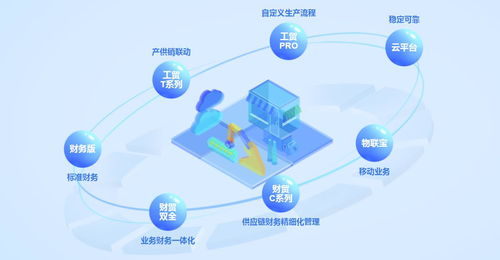 深圳管家婆erp软件定制开发讯睿软件