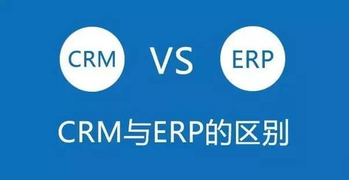 动态 鹏为软件官网